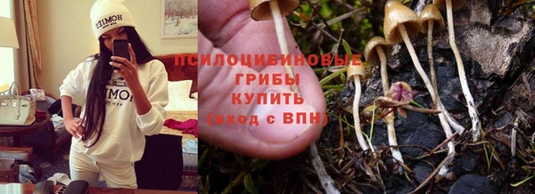 герыч Алзамай