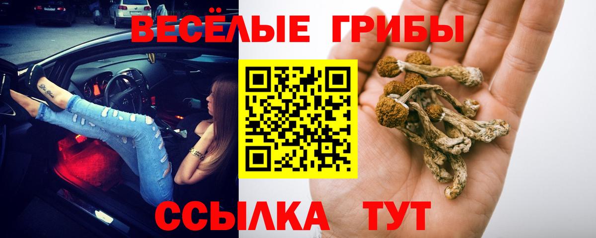 Псилоцибиновые грибы GOLDEN TEACHER Балабаново